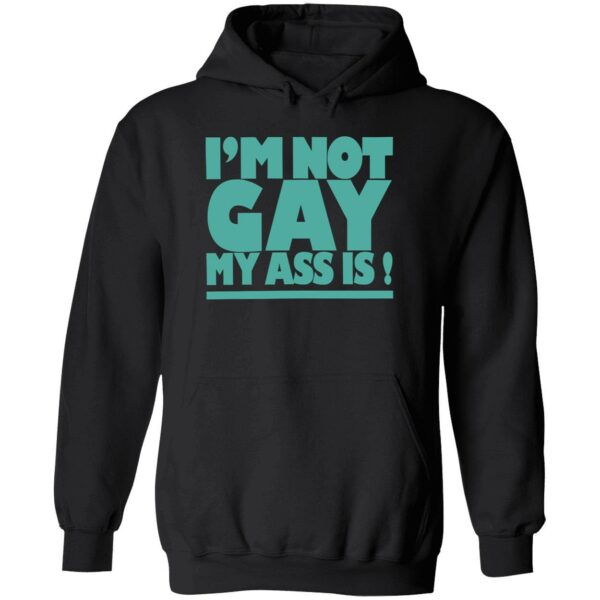 I’m not gay my a is hoodie