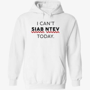 I can’t siab ntev today hoodie