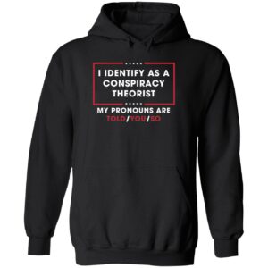 I identify as conspiracy theorist my pronoun are told you so hoodie