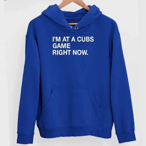 I’m At A Cubs Game Right Now Hoodie