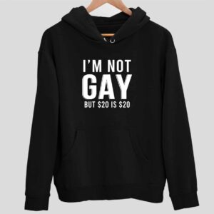 I’m Not Gay But $20 Is $20 Hoodie