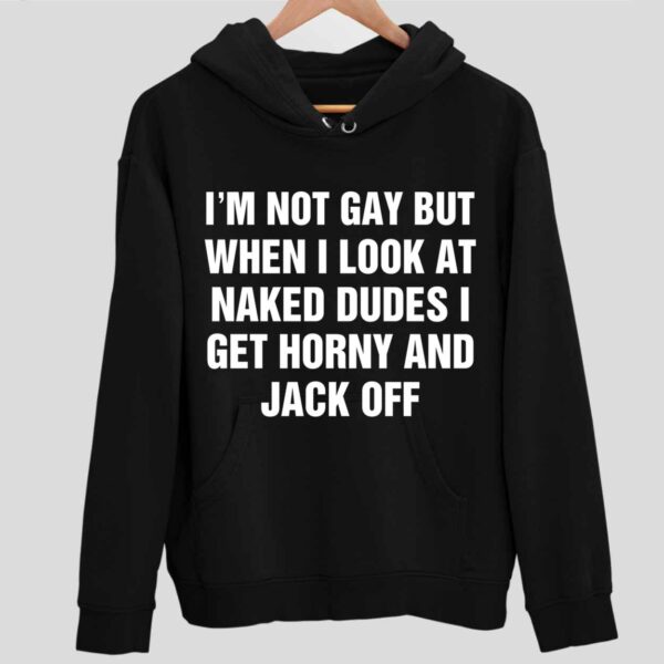 I’m Not Gay But When I Look At Naked Dudes I Get Horny And Jack Off Hoodie