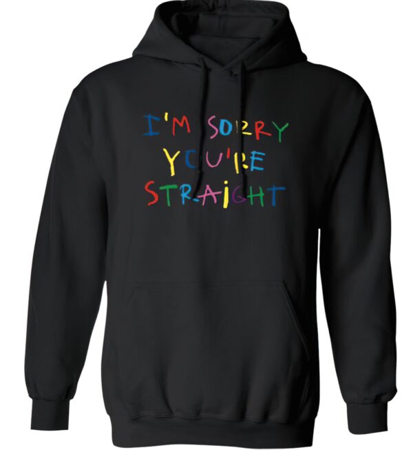 I’m sorry you’re straight hoodie