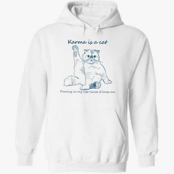 Karma is a cat purring in my lap cause it loves me hoodie