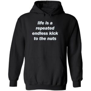 Life is a repeated endless kick to the nuts hoodie