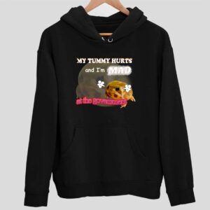 My Tummy Hurts I’m Mad At The Government Fat Frog Hoodie