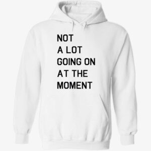 Not a lot going on at the moment hoodie