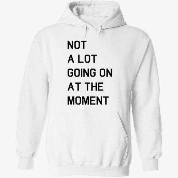 Not a lot going on at the moment hoodie