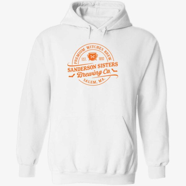 Premium witches brew sanderson sisters brewing co hoodie