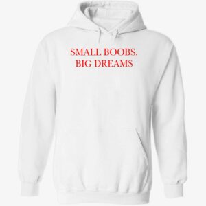 Small boobs big dreams hoodie