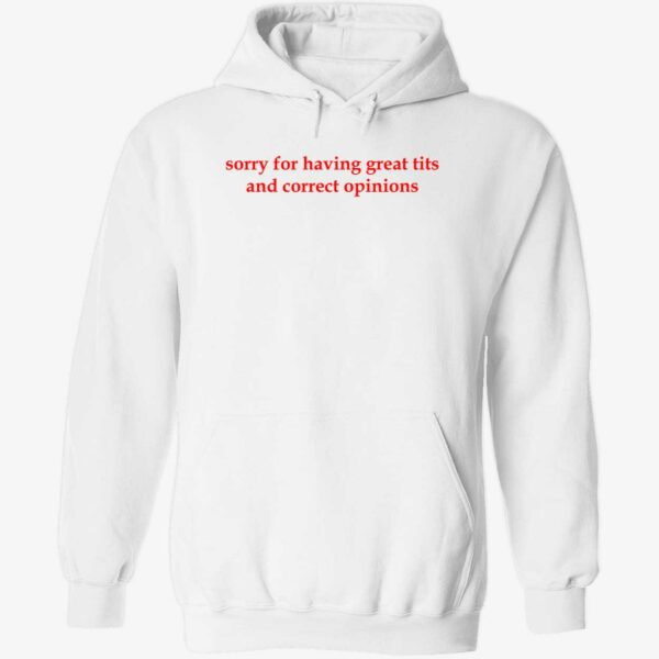 Sorry for having great tits and correct opinions hoodie