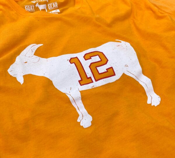 GOAT 12 Creamsicle Tampa Bay T-shirt