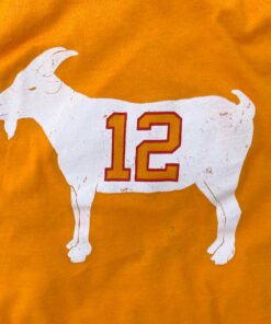 GOAT 12 Creamsicle Tampa Bay T shirt 3