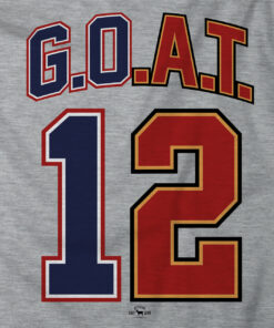 GOAT 12 TampaNew England Gray T shirt 2